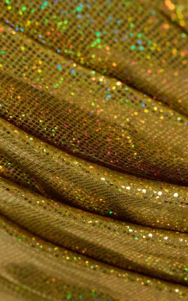 Marie Adam-Leenaerdt Bolero Dress All In Glittered Top | Thumbnail 5