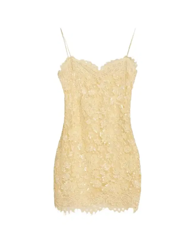 Jetta Sequined Floral Lace Mini Dress