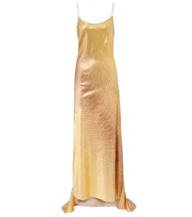 Roberto Cavalli Snake-print silk gown | Thumbnail 1