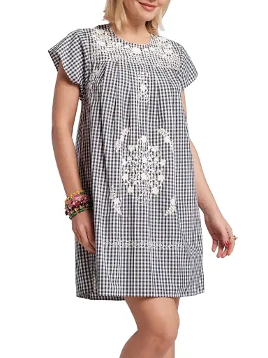Frances Valentine Women's Camila Floral-Embroidered Gingham Cotton Poplin Minidress - Navy Oyster - Size XL | Thumbnail 1