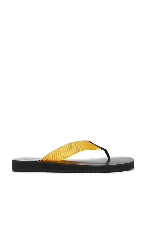 SENSO Xylon Flip Flop