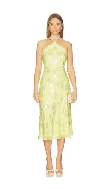Cami NYC Ruzita Metallic Chiffon Midi Dress | Thumbnail 1 Cami NYC Ruzita Metallic Chiffon Midi Dress | Thumbnail 1