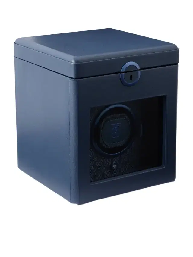 Earth Single Watch Winder - Men