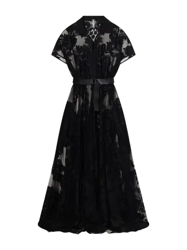 Belted Embroidered Mesh Gown