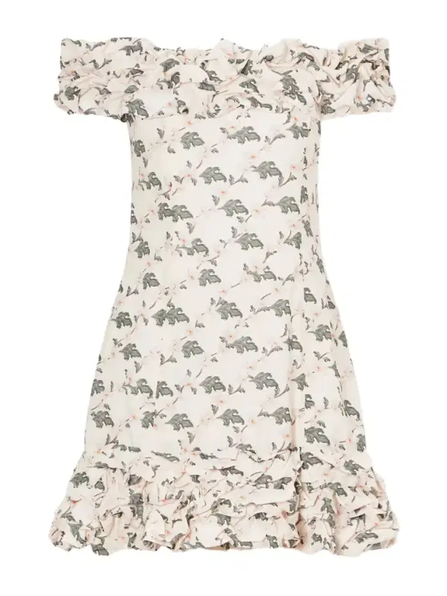 Jardin Anhelo Cotton Floral-printed Mini Dress
