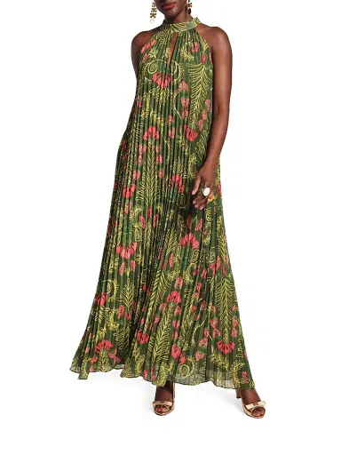 Frances Valentine Women's Printed Accordian-Pleated Maxi Dress - Green Multi - Size XS | Thumbnail 1