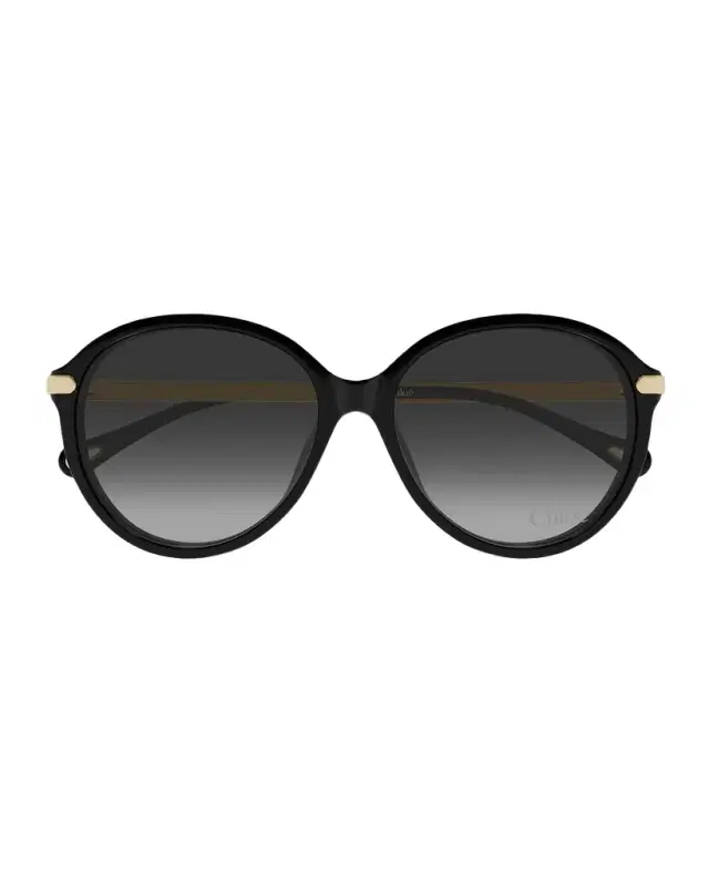 Chloe Round Acetate & Metal Sunglasses