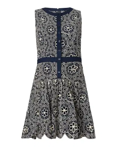 Shoshanna Sierra Floral-Embroidered Flounce Mini Dress | Thumbnail 1