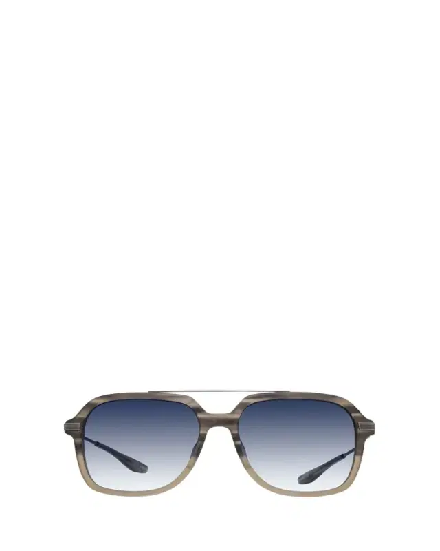 D. Ellis Zyl & Titanium Aviator Sunglasses