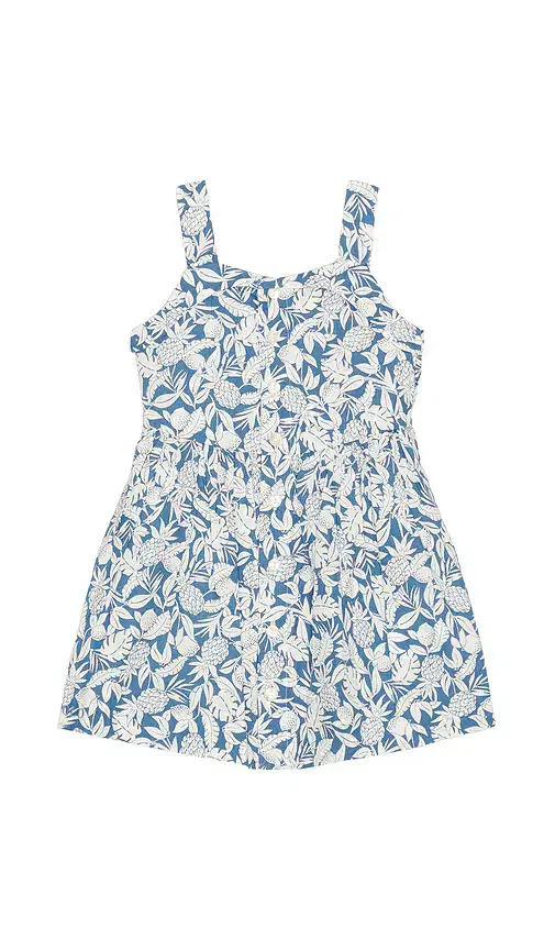 Polo Ralph Lauren Sleeveless Cotton Pineapple Printed Day Dress