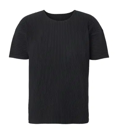 Homme Plissé Issey Miyake Homme Plissé Issey Miyake Basics pleated T-shirt | Thumbnail 1