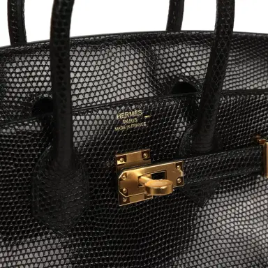HERMÈS Hermes Birkin 25 Black Shiny Varanus Niloticus Lizard Gold Hardware | Thumbnail 7
