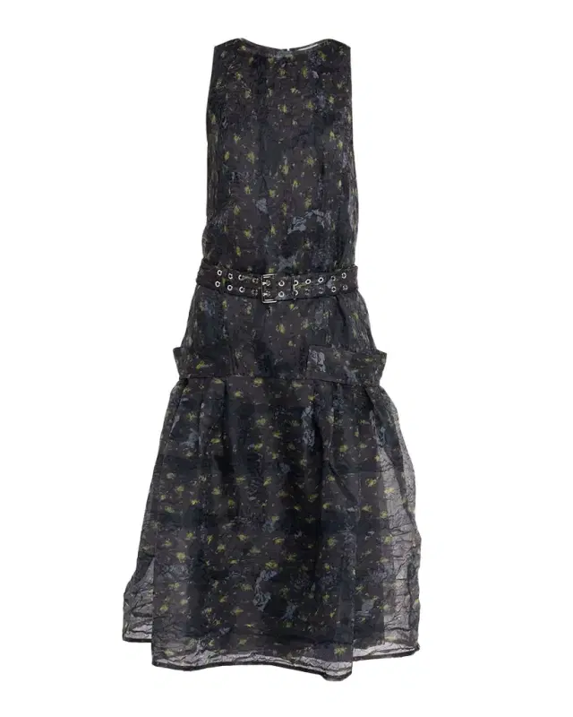 Shibori Organza Dress