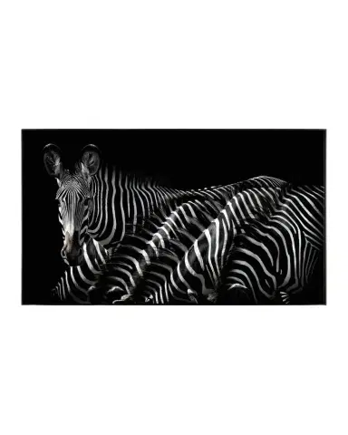 John-Richard Collection "Dazzle of Grevys" Framed Wall Art by Rodney Bursiel | Thumbnail 1