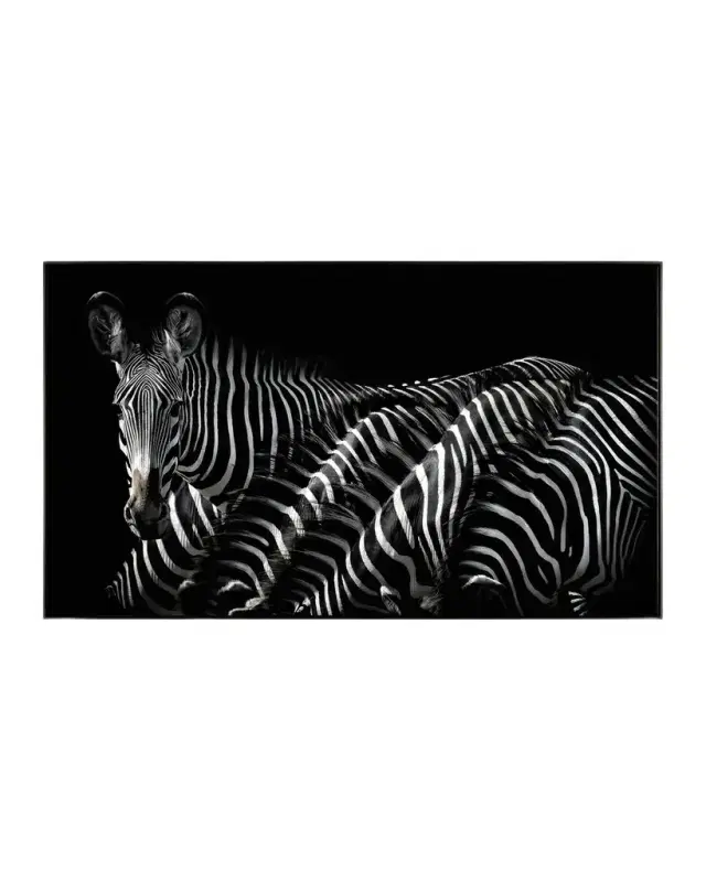 John-Richard Collection "Dazzle of Grevys" Framed Wall Art by Rodney Bursiel