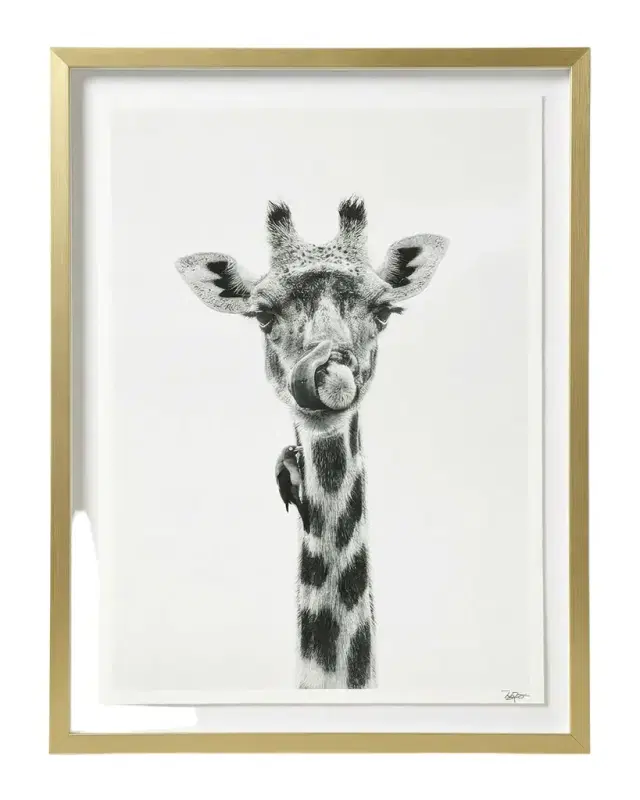 John-Richard Collection "What?" Framed Photo Print by Rodney Bursiel