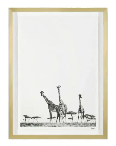 John-Richard Collection "Kaleidoscope" Framed Photo Print by Rodney Bursiel | Thumbnail 2