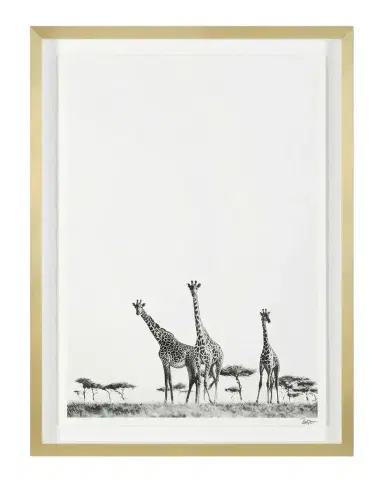 John-Richard Collection "Kaleidoscope" Framed Photo Print by Rodney Bursiel | Thumbnail 1