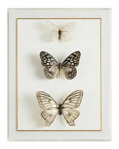 John-Richard Collection "Echoes of Change" Framed Print | Thumbnail 2