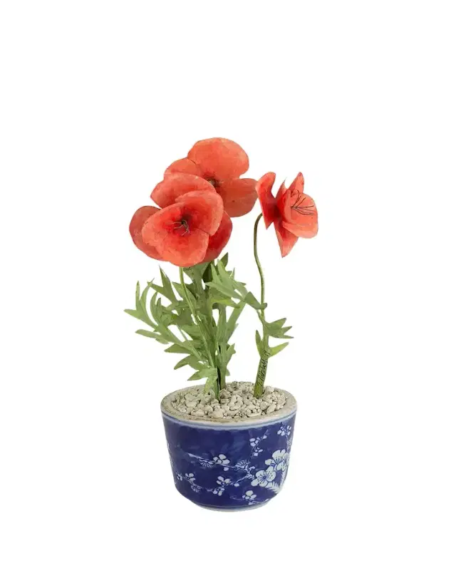 Tommy Mitchell Poppy August Birth Flower in Ceramic Pot