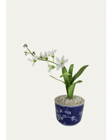 Tommy Mitchell Freesia March Birth Flower in Ceramic Pot | Thumbnail 1
