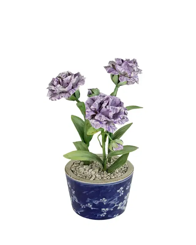 Tommy Mitchell Carnation January Birth Flower in Ceramic Pot