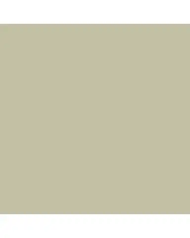 Tommy Mitchell Poppy August Birth Flower in White Terracotta Pot | Thumbnail 2