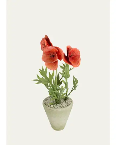 Tommy Mitchell Poppy August Birth Flower in White Terracotta Pot | Thumbnail 1