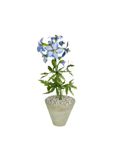 Tommy Mitchell Delphinium July Birth Flower in White Terracotta Pot | Thumbnail 1