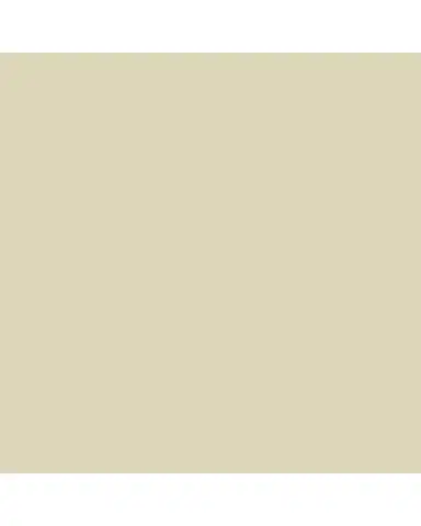 Tommy Mitchell Violet February Birth Flower in White Terracotta Pot | Thumbnail 2 Tommy Mitchell Violet February Birth Flower in White Terracotta Pot | Thumbnail 2