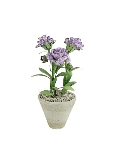 Tommy Mitchell Carnation January Birth Flower in White Terracotta Pot | Thumbnail 1