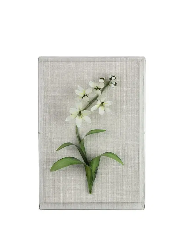 Tommy Mitchell Freesia March Birth Flower Wall Art