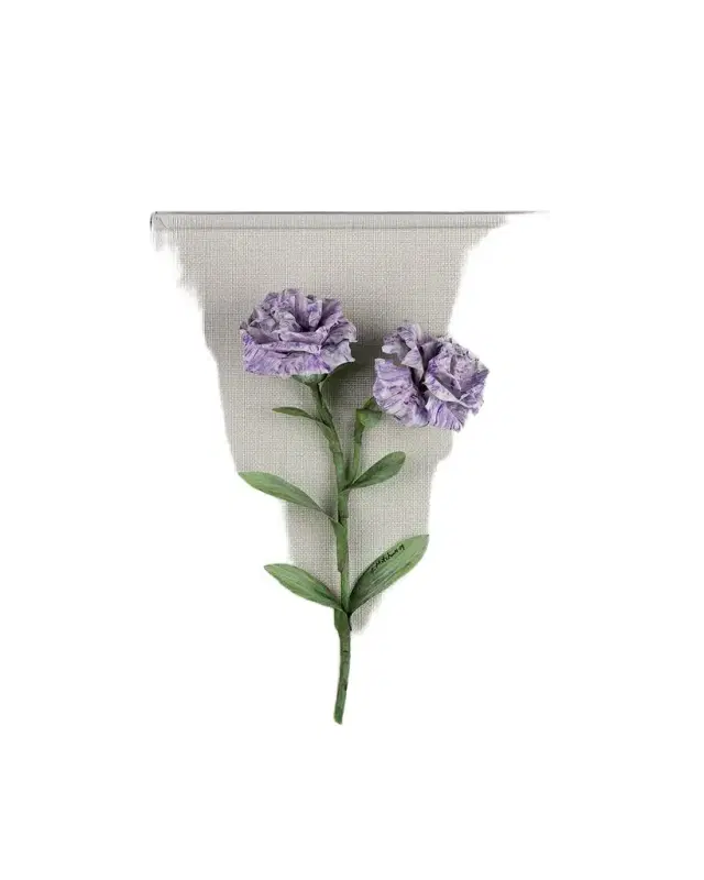 Tommy Mitchell Carnation January Birth Flower Wall Art