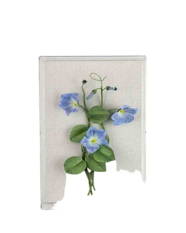 Tommy Mitchell Morning Glory September Birth Flower Wall Art