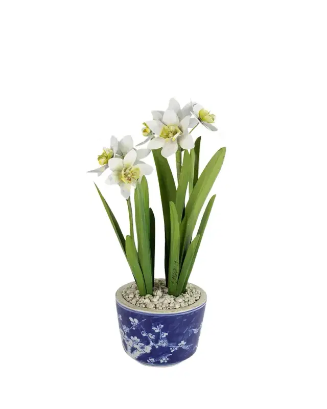 Tommy Mitchell Narcissus December Birth Flower in Blue/White Ceramic Pot