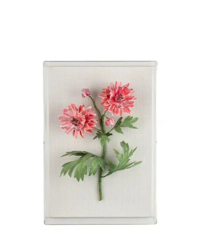 Tommy Mitchell Crysanthemum November Birth Flower Wall Art
