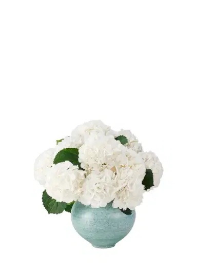 AERIN Calinda Moon Vase | Thumbnail 1 AERIN Calinda Moon Vase | Thumbnail 1