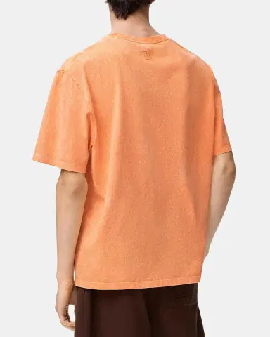 Loewe x Paula's Ibiza Men's Embroidered Frog T-Shirt | Thumbnail 3