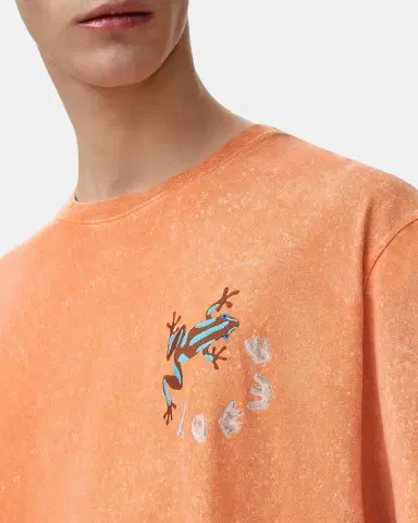 Loewe x Paula's Ibiza Men's Embroidered Frog T-Shirt | Thumbnail 5