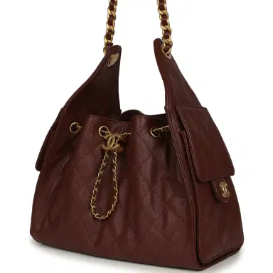 Chanel Chanel Small 25 Hobo Bag Brown Caviar Antique Gold Hardware | Thumbnail 5