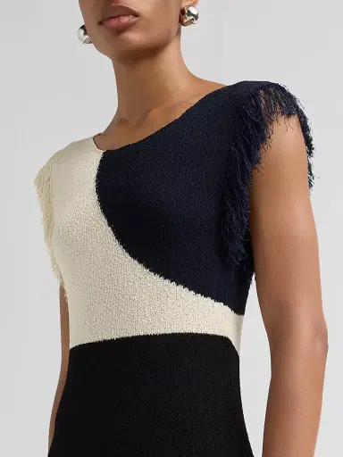 Proenza Schouler Women's Saskia Colorblocked Fringe Dress - Sand Multi - Size Large | Thumbnail 5