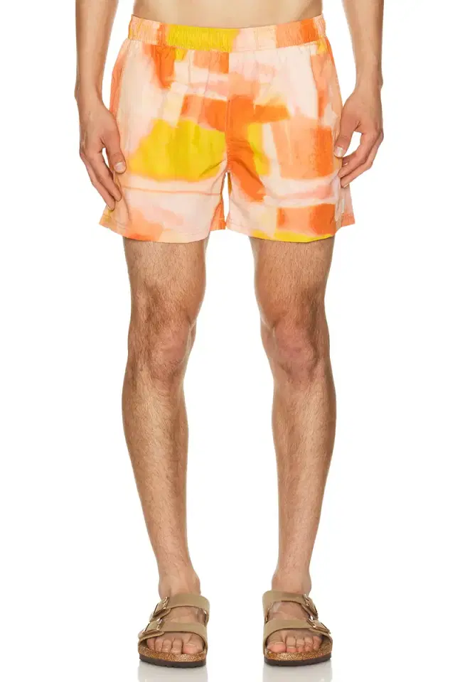 4 Printed Sebastian Swim Trunk