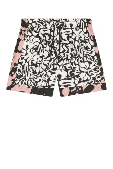 Dries Van Noten Phibbs Swim Shorts | Thumbnail 4