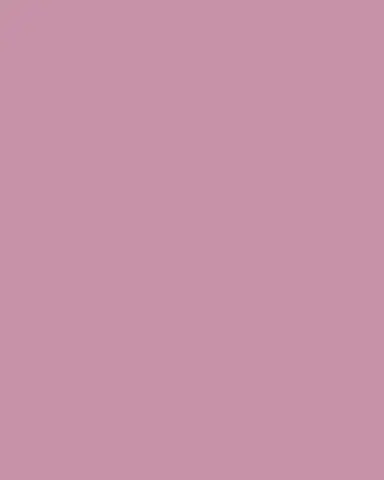 Tommy Mitchell Original Painted Primula Study | Thumbnail 3