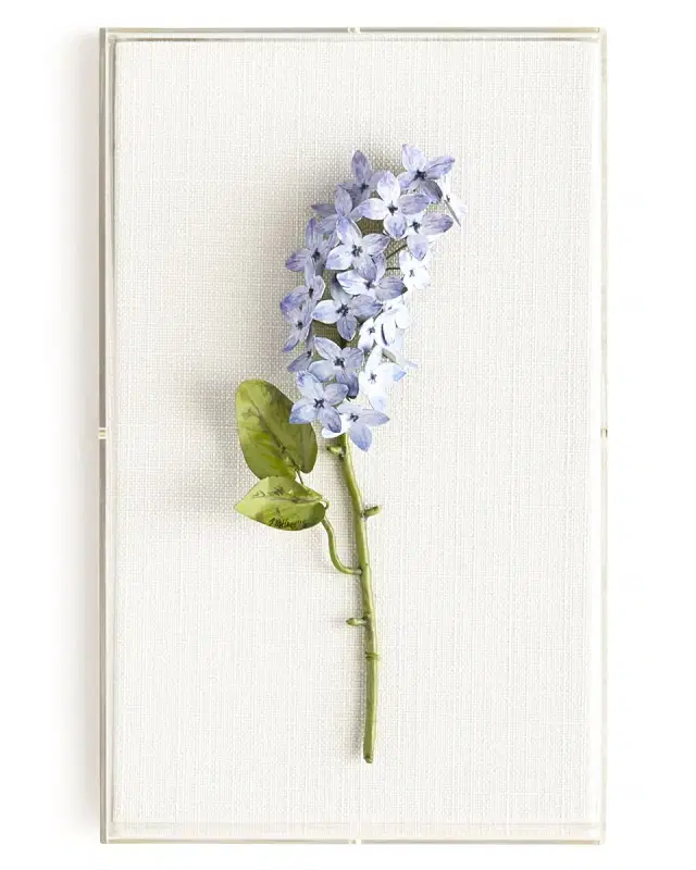 Tommy Mitchell Original Painted Lilac Study