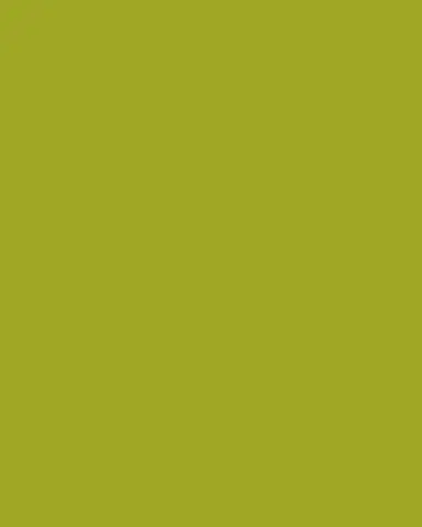 Tommy Mitchell Original Painted Auricula Study | Thumbnail 3