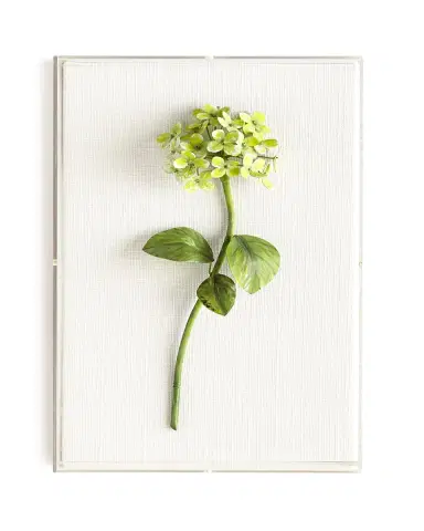 Tommy Mitchell Original Painted Hydrangea Study | Thumbnail 2