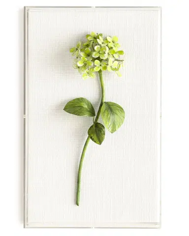 Tommy Mitchell Original Painted Hydrangea Study | Thumbnail 1