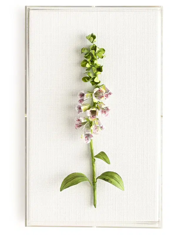 Tommy Mitchell Original Painted Foxglove Study