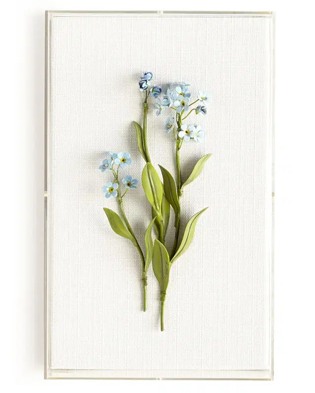 Tommy Mitchell Original Painted Forget-Me-Not Study